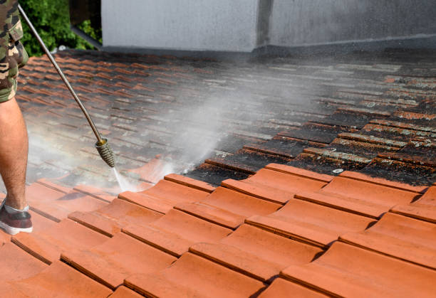 Best Sidewalk Pressure Washing  in Rapids, NY