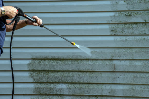 Best Exterior Home Cleaning  in Rapids, NY