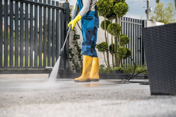 Best Affordable Pressure Washing  in Rapids, NY