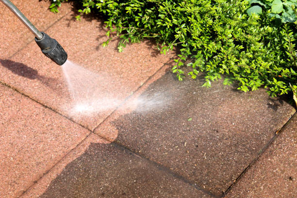 Best Roof Pressure Washing  in Rapids, NY